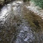 Adna Bihać