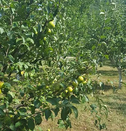 בית נופש Adna *