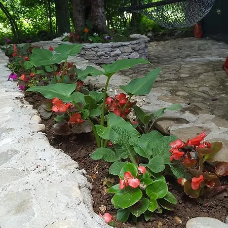 Adna בית נופש *